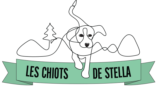Les Chiots de Stella